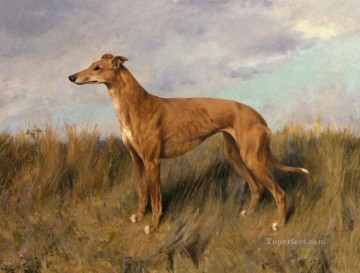  Henrietta Pintura Art%C3%ADstica - Henrietta Horn Un perro galgo Arthur Wardle